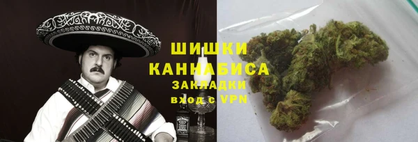 индика Осинники