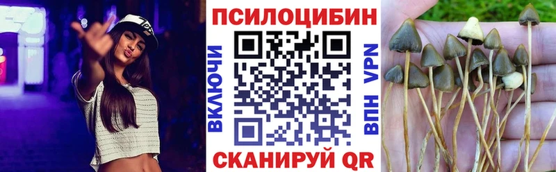 Псилоцибиновые грибы Magic Shrooms  Дзержинский 